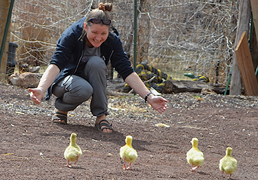 Terena with Outstreched Arms and Goslings Running to Her