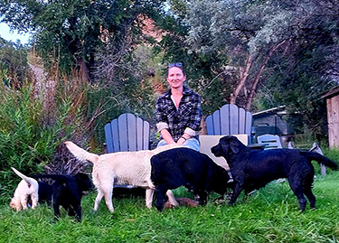 Terena with Lab Puppies and Adults