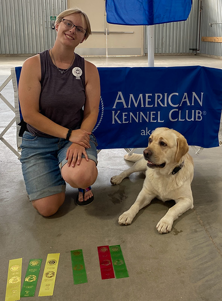 Yellow Lab with Ribbons
