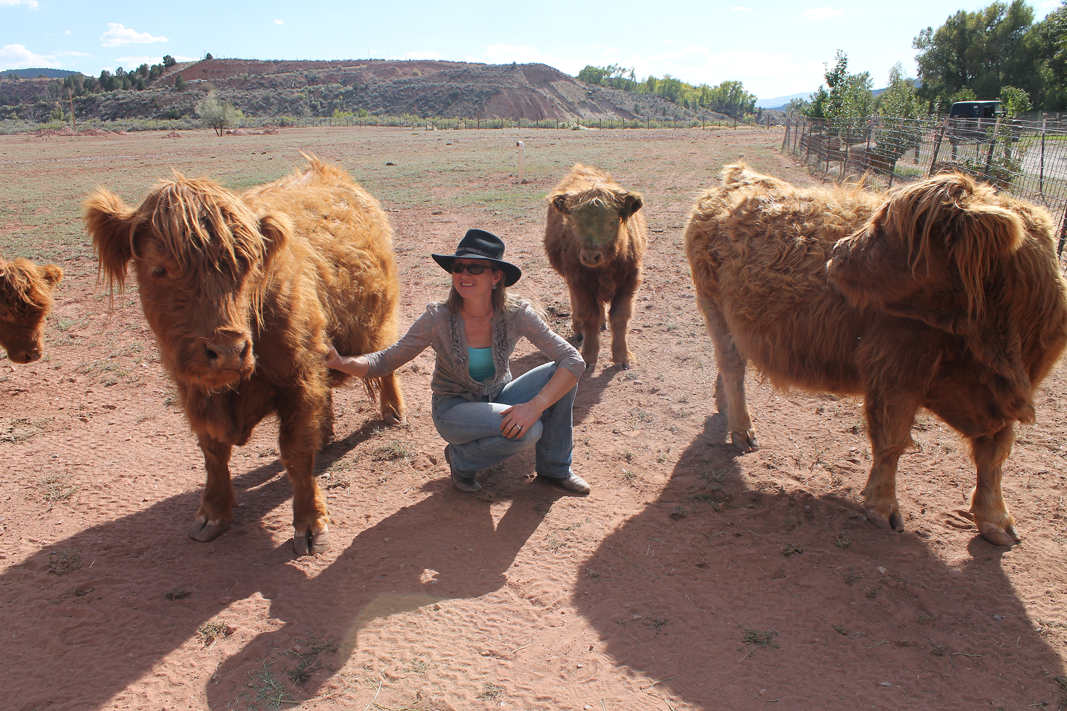 Terena Thomas with Her Highland Cattle